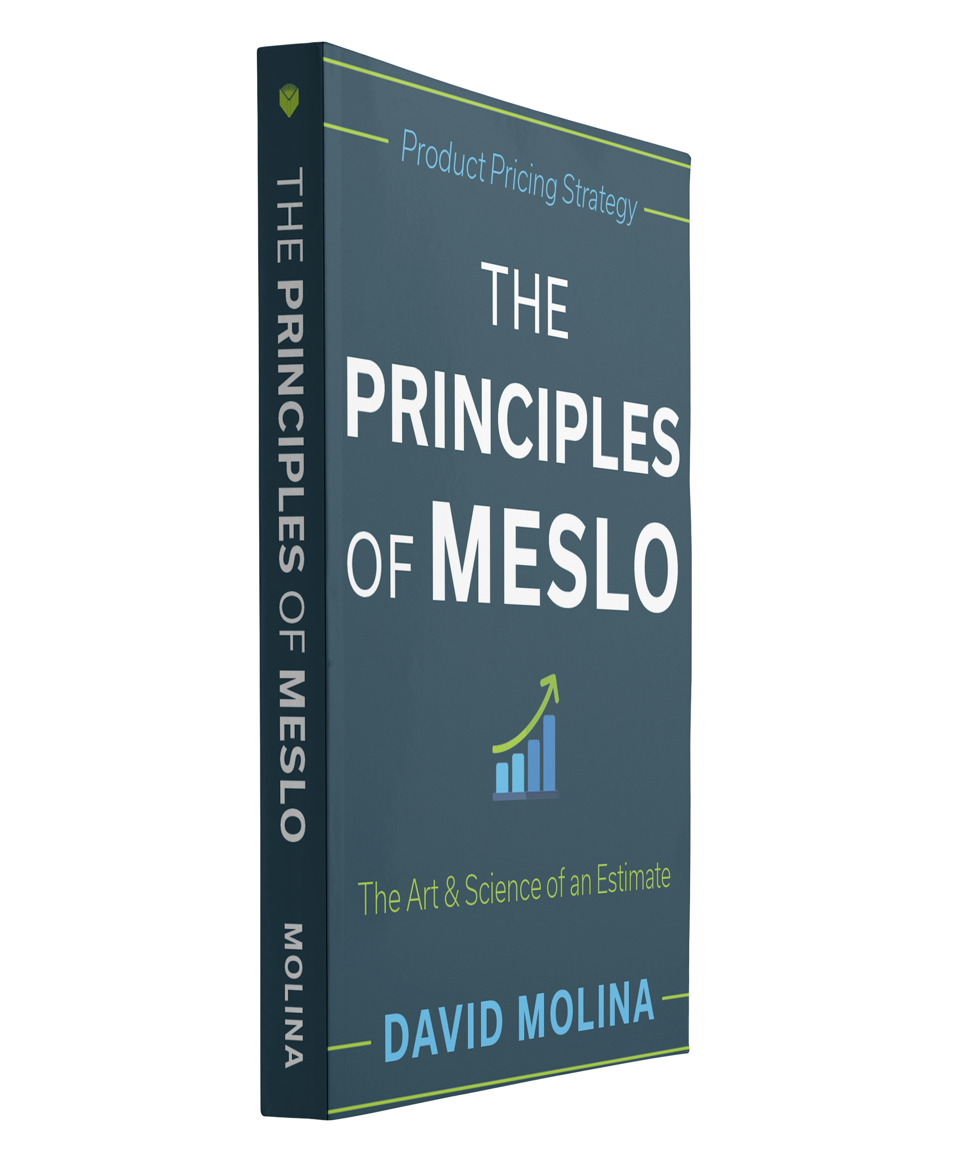 The Principles of MESLO angled book cover
